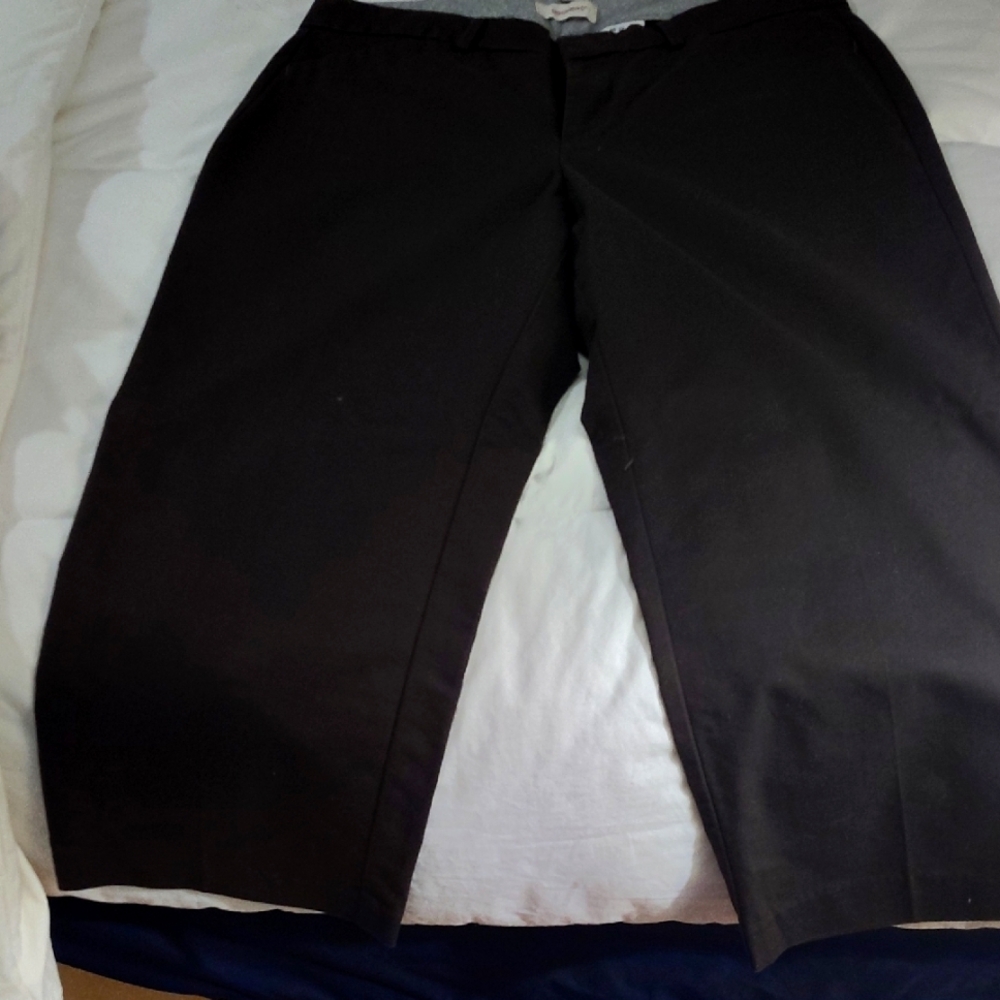 Classic brown Capri